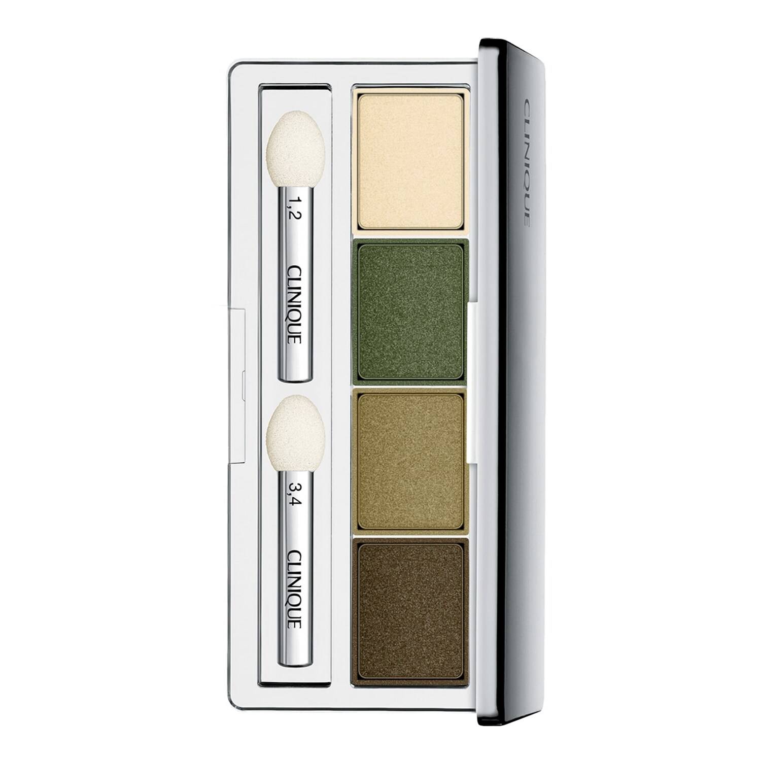 Clinique All About Shadow Quad 3.3G On Safari