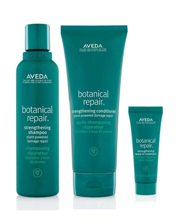 Aveda Botanical Repair Shampoo, Conditioner & Treatment Regime