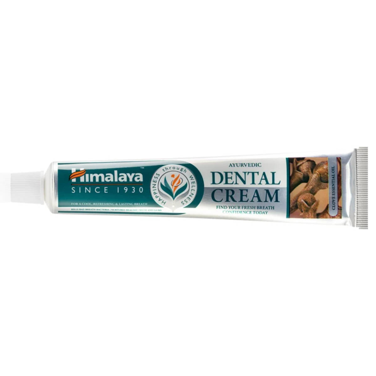Ayurvedic Dental Toothpaste 100g